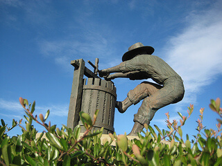 "Napa Grape Crusher"