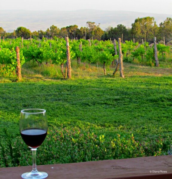 Western slope of Colorado,Leroux Creek Inn & Vineyards, Hothkiss