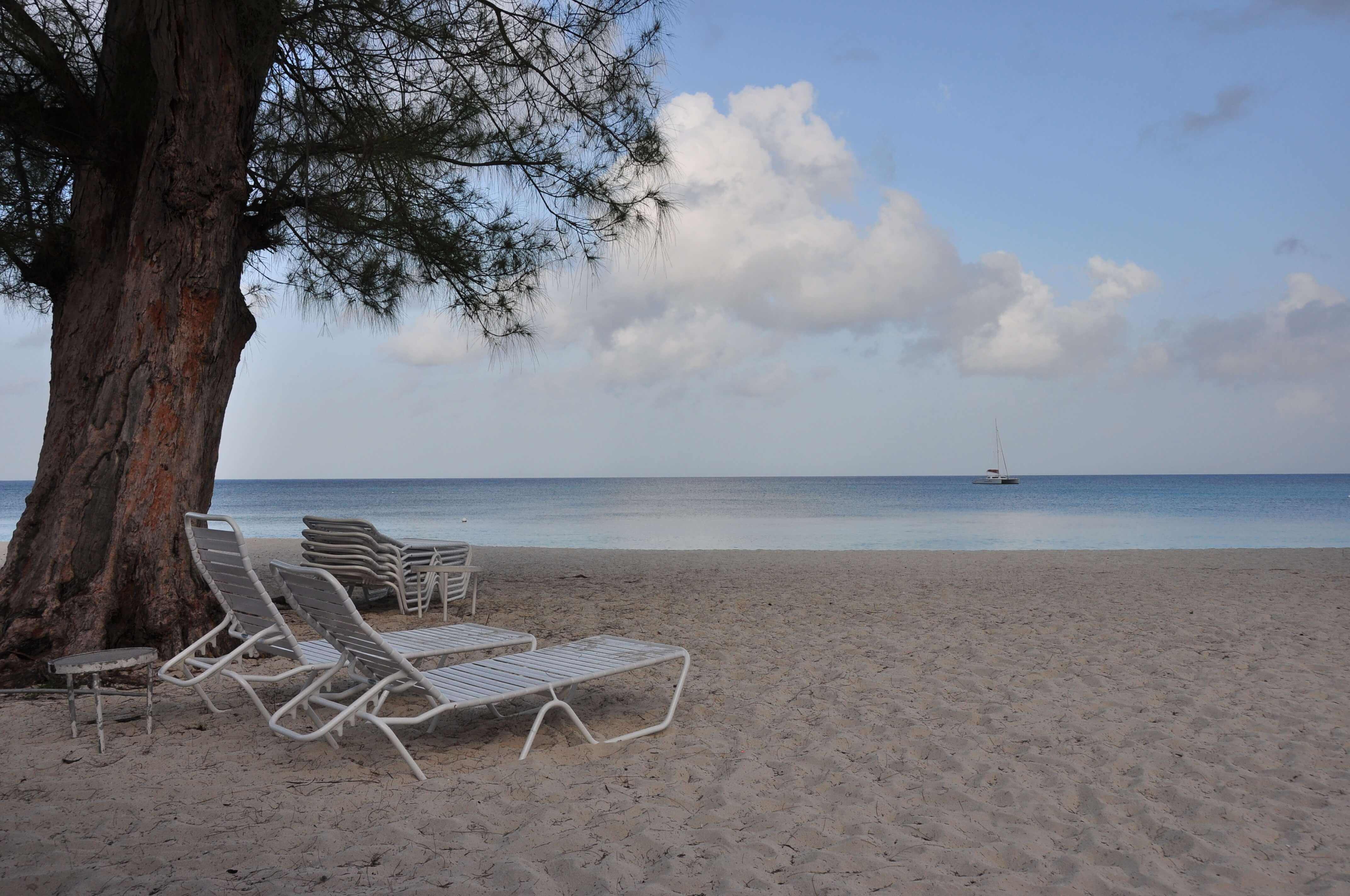 A Review of the Family-Friendly Westin Casuarina Resort on Grand Cayman