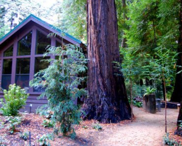 Getting Back to Nature at Glen Oaks in Big Sur, California