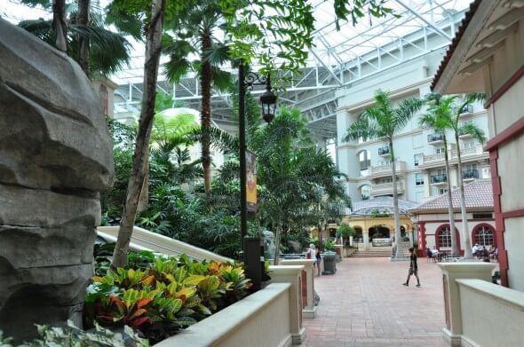 Gaylord Palms