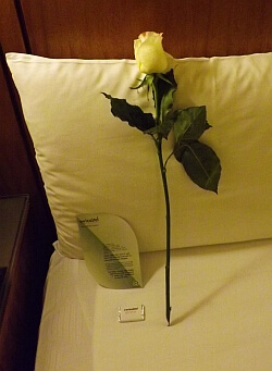 turndown service