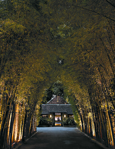 Bamboo lined entrance of Tamarind Village, Chiang Mai Thailand