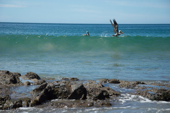 rocky Costa Rica beach