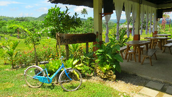 Organic Farm is a Mountain Respite: Philippines