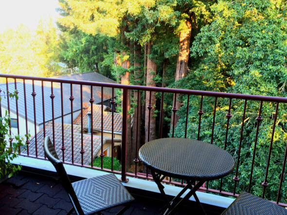 Patio overlooking the trees