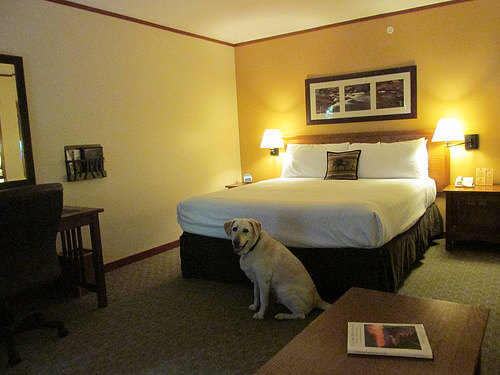 "Skamania Lodge" hotel room