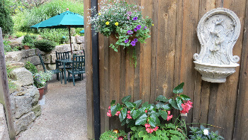 A glimpse at patio dining 