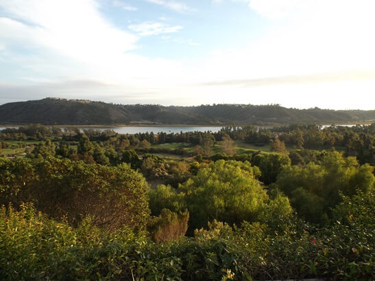 View of Batiquitos Lagoon from Park Hyatt Aviara Resort