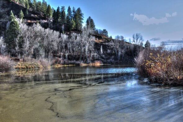 Pagosa High Country WildlifeViewingPond