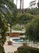 Palm Courtyard at Hyatt Park Aviara