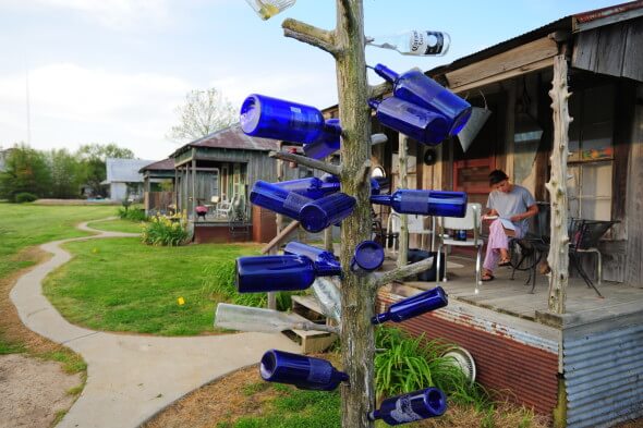 bottle tree at Shack Up Inn MS