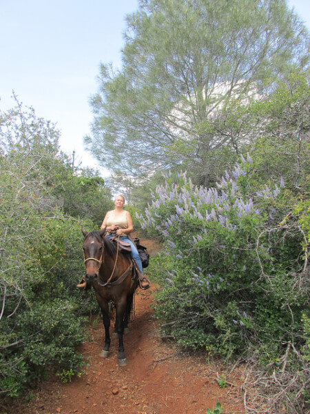 Dianne Nelson, Wild Horse Sanctuary