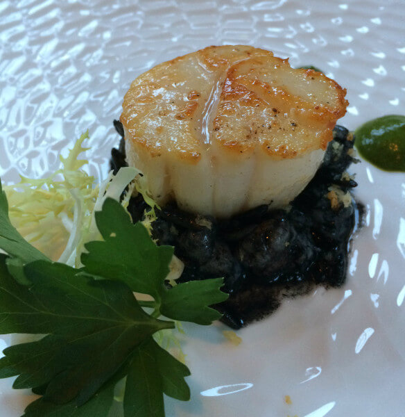 Seared scallop with, orzo a la nero, arugula green garlic pudding, and meyer lemon bread crumbs