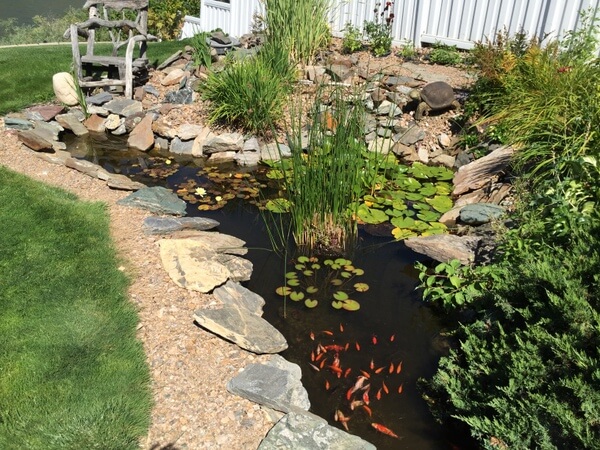 Fish pond, Riverside B&B, Kamloops, BC, Canada 