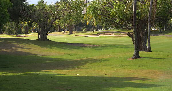 Puerto Vallarta golf