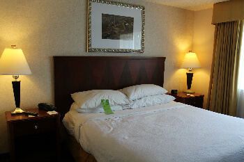 A suite bedroom with queen bed.