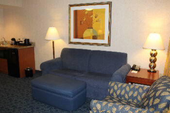 A suite living room with fold out couch.