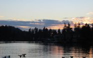 lakeshore inn, lake oswego, sunset