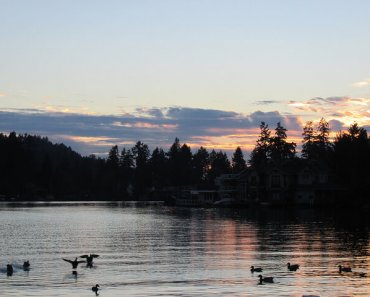 Lakeshore Inn: Lake Oswego’s Only Lakefront Hotel