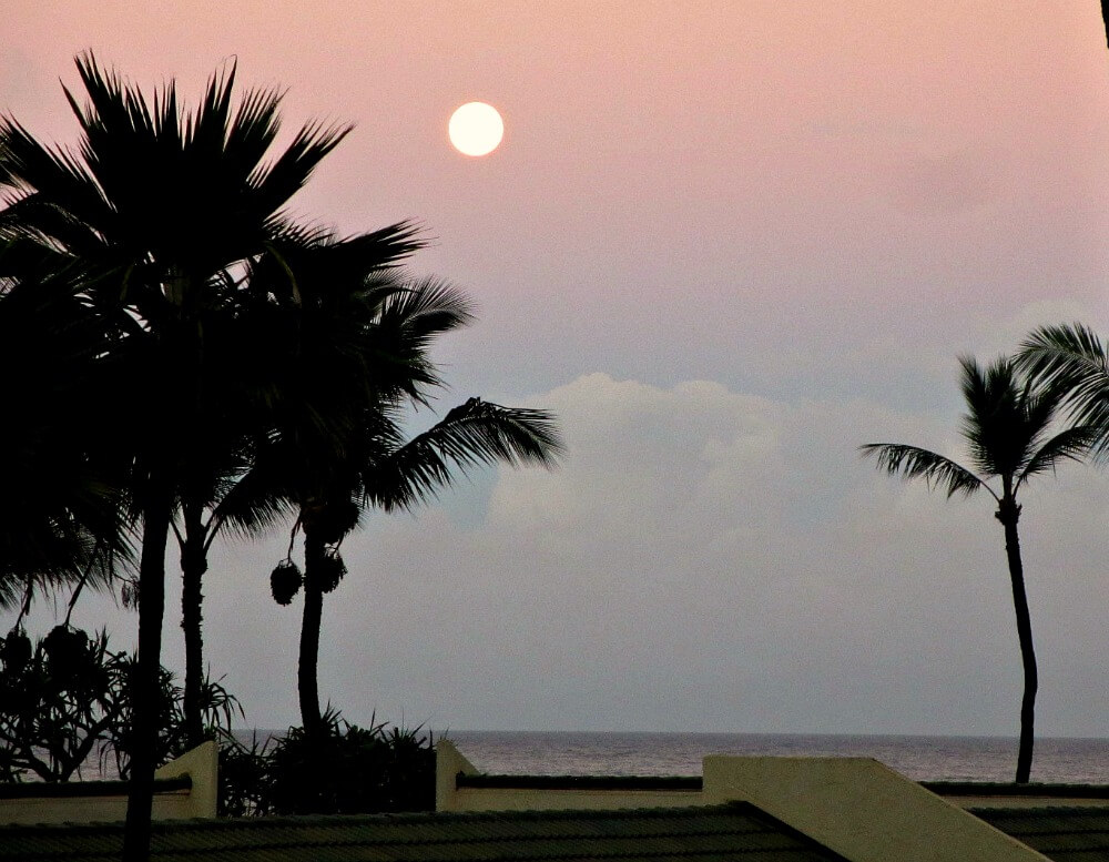 early morning on the beach