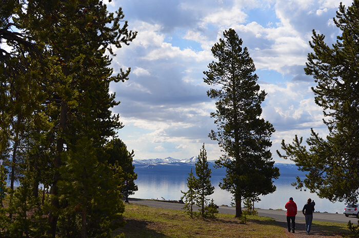 view of Yellowstone Lake from the lodge