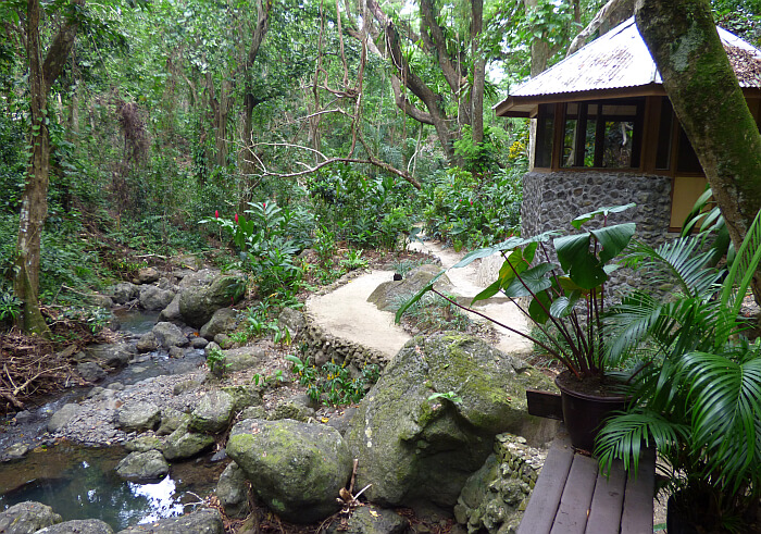 Rainforest Spa