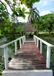 Koru Sun Savusavu