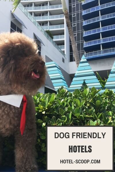 Dog Friendly Hotels