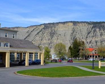 Observe the Wildlife at Yellowstone’s Mammoth Hot Springs Hotel & Cabins