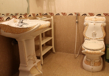 The bathroom with its palace motif.