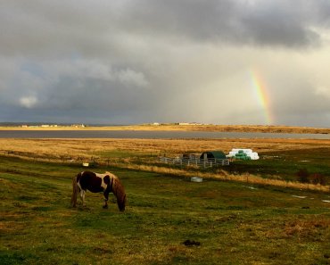 A Cozy Country Stay in Iceland at Guesthouse Vatnsholt