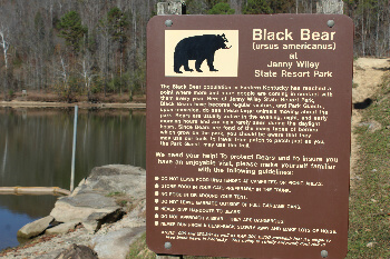 Down by Dewey Lake. Black bears are in these parts, but you probably won't see one.