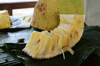 Jackfruit