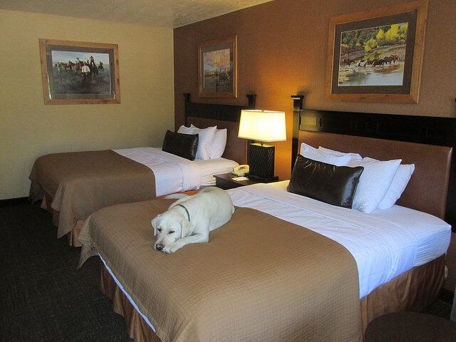 dog-friendly hotel rooms, rubys inn, bryce canyon, utah