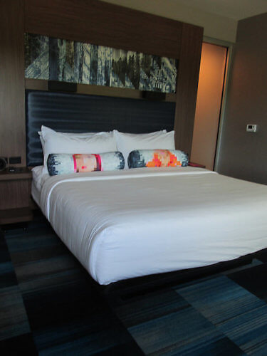 king room, aloft hillsboro-beaverton boutique hotel, pet-friendly, oregon