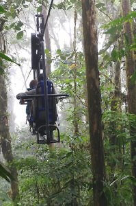 bike through tree tops at Mashpi Lodge