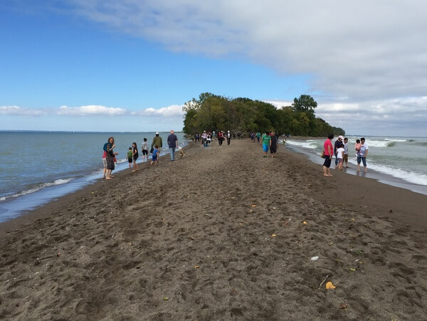 Point Pelee National Park, near Iron Kettle B&B, Ontario, Canada