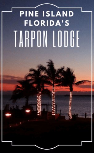 Tarpon Lodge is a quiet inn facing the Gulf of Mexico on Pine Island, Florida, north of Fort Myers and Sanibel Island. 