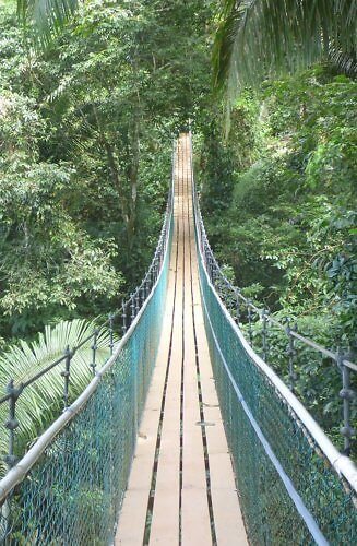 suspension bridge at Bocawina Rainforest Resort in a national park in Belize