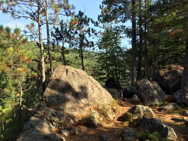 Hiking trail, Samuel de Champlain Provincial Park, Mattawa, Ontario, Canada