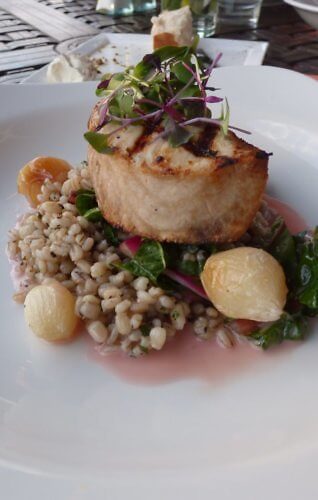 Swordfish on herb barley at Shor Restaurant, Hyatt Regency Clearwater Beach in Florida