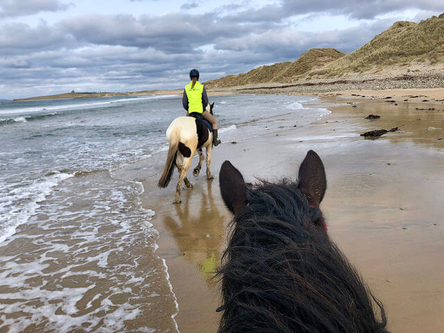 island view riding stables, strandhill, county sligo, ireland, horseback riding, wild atlantic way