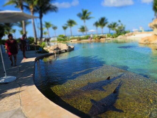 BEACH Sanctuary Grand Hyatt Baha Mar