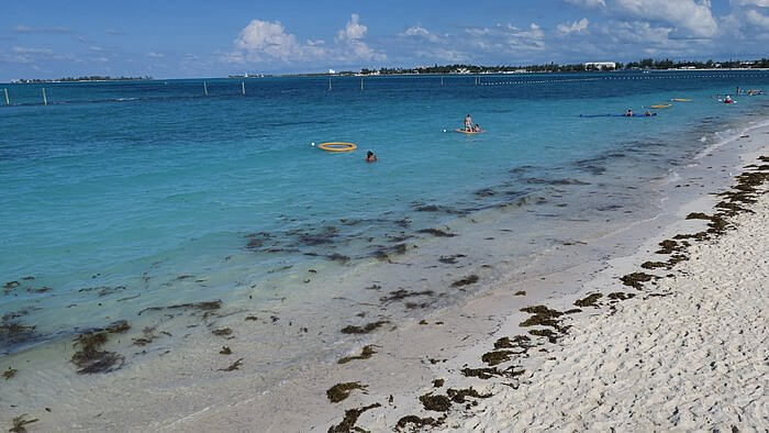 Grand Hyatt Baha Mar Beach