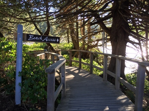 Beach path, Tofino BC Canada