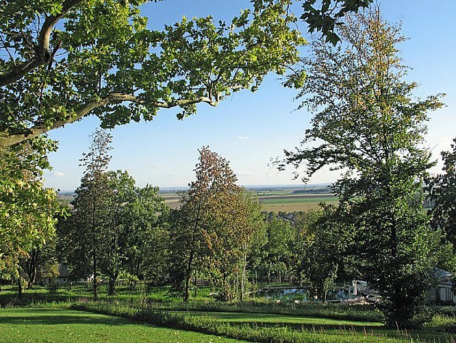 View from Chateau Mcely (Photo by Susan McKee)