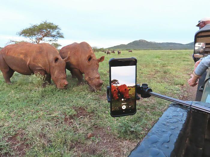 Rhino spotting during game drive at Thanda Safari