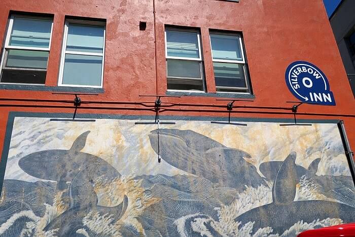 Humpback whale mural Silverbow Inn