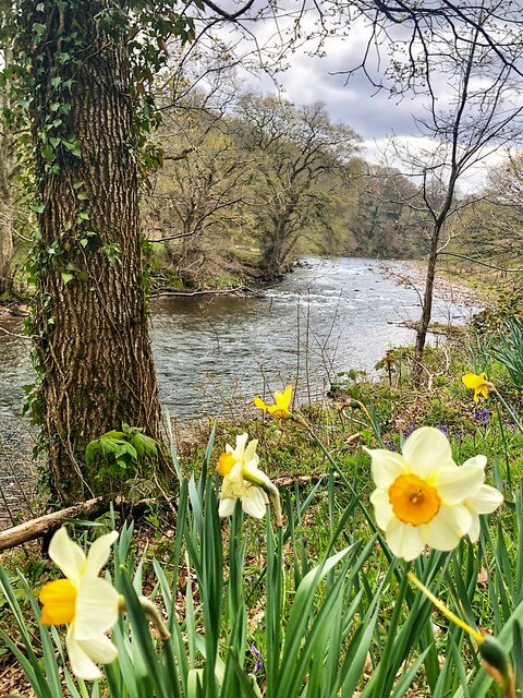 river usk, gliffaes country house fishing lodge, brecon beacons national park wales